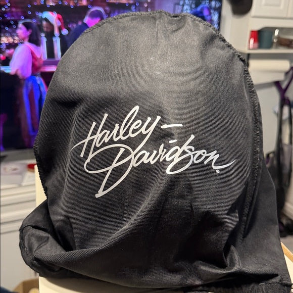Harley-Davidson Black and Silver Helmet
